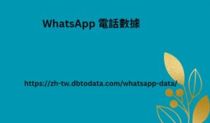 WhatsApp 電話數據