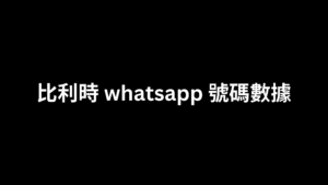 比利時 whatsapp 號碼數據 