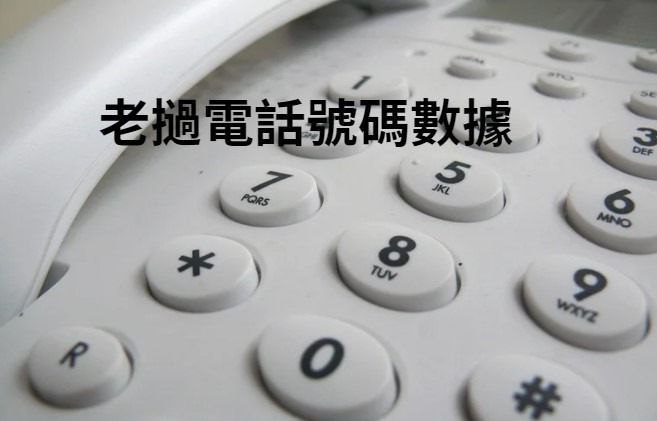 老撾電話號碼數據